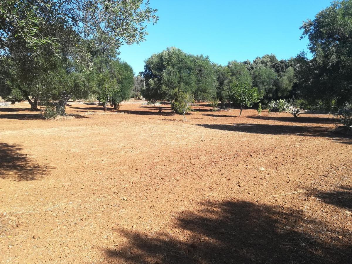 Trullo Alessandro E Villa Raffaela San Vito dei Normanni Dış mekan fotoğraf