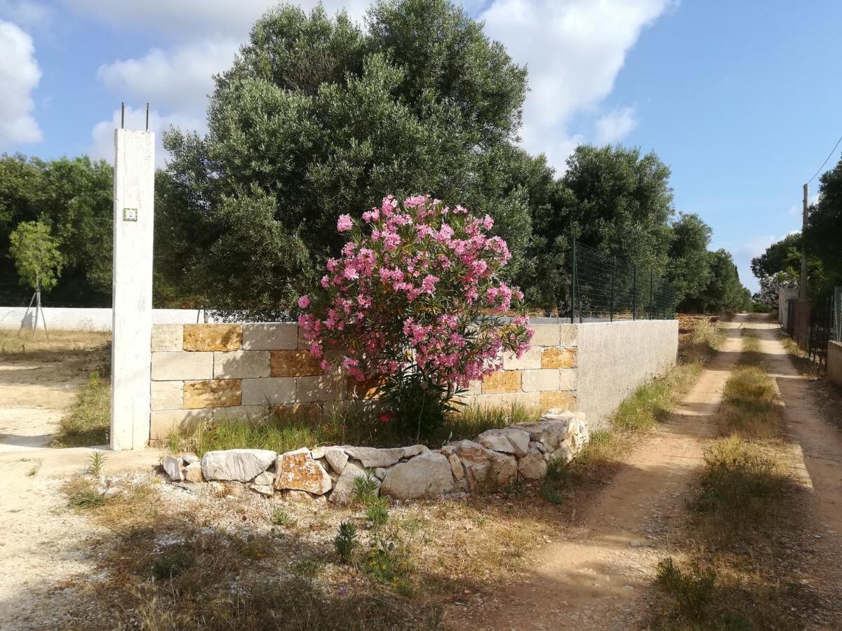 Trullo Alessandro E Villa Raffaela San Vito dei Normanni Dış mekan fotoğraf