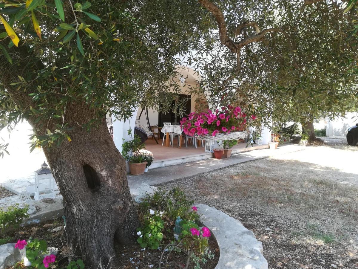 Trullo Alessandro E Villa Raffaela San Vito dei Normanni Dış mekan fotoğraf