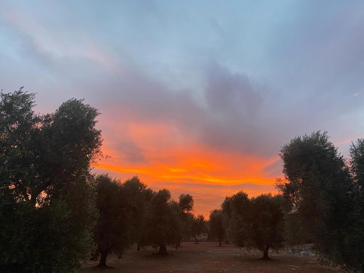 Trullo Alessandro E Villa Raffaela San Vito dei Normanni Dış mekan fotoğraf