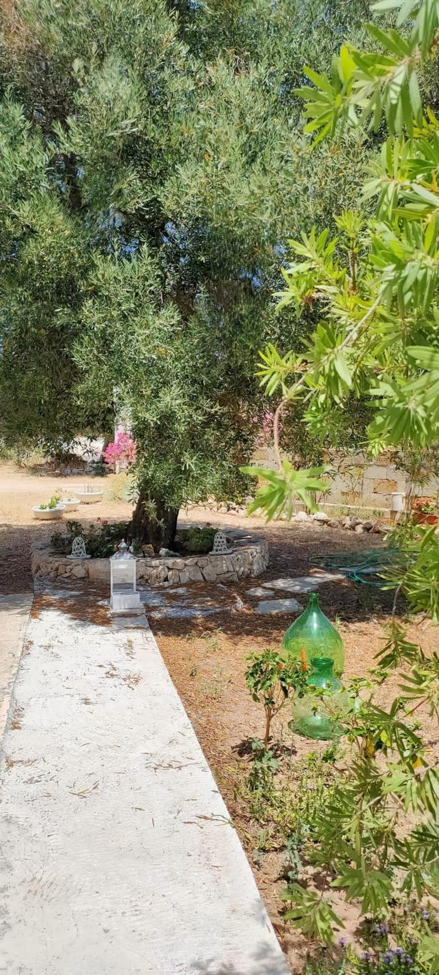 Trullo Alessandro E Villa Raffaela San Vito dei Normanni Oda fotoğraf