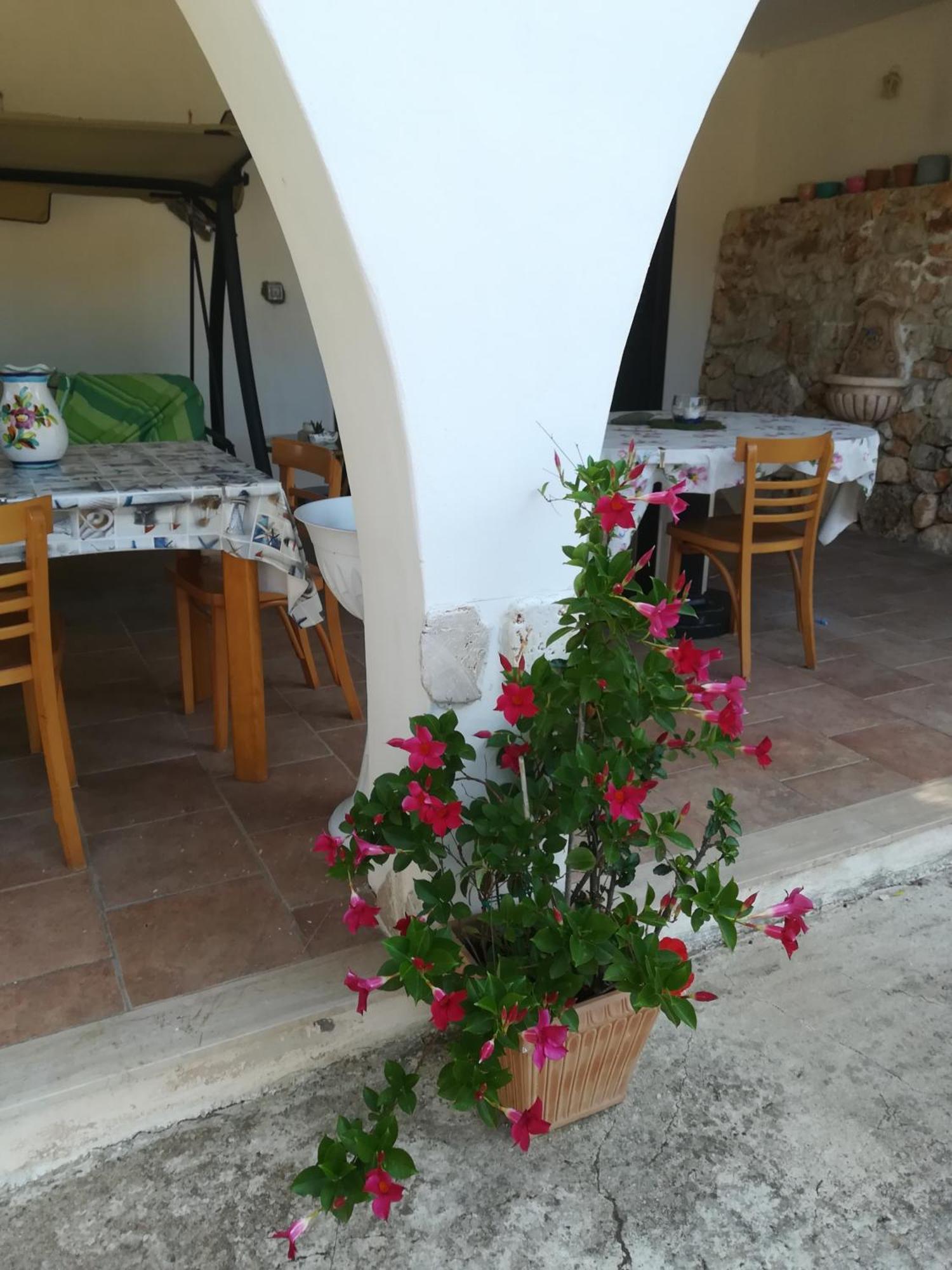 Trullo Alessandro E Villa Raffaela San Vito dei Normanni Oda fotoğraf