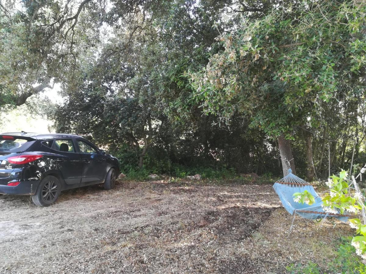 Trullo Alessandro E Villa Raffaela San Vito dei Normanni Dış mekan fotoğraf